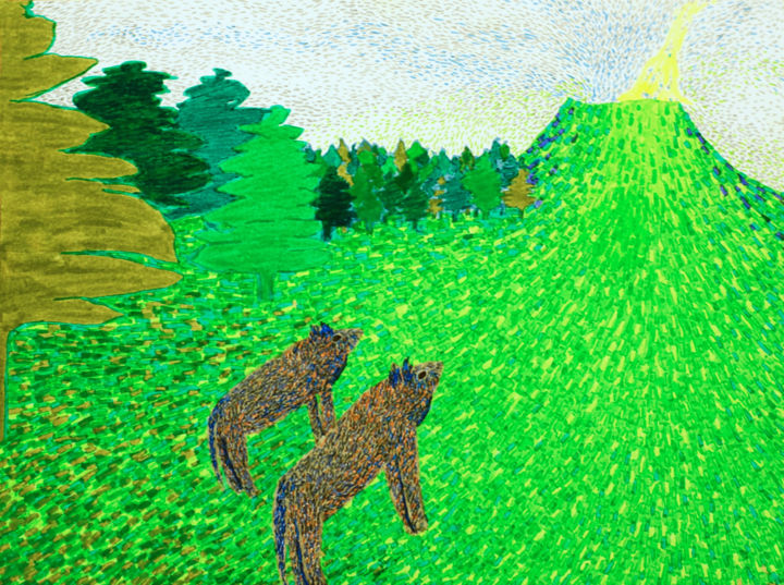 Dessin intitulée "Volcan, loups" par Annabelle Verhaeghe, Œuvre d'art originale