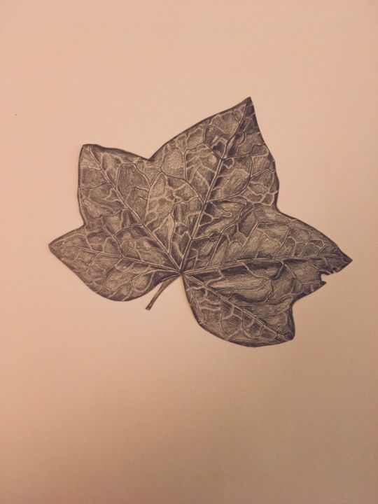 Drawing titled "Feuilles. Planche 1…" by Victoria, Original Artwork, Pencil