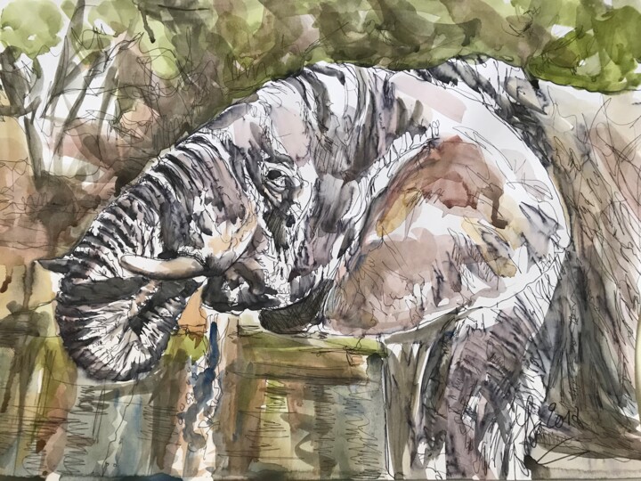 Peinture intitulée "Elephant" par Véronika Saille, Œuvre d'art originale, Aquarelle