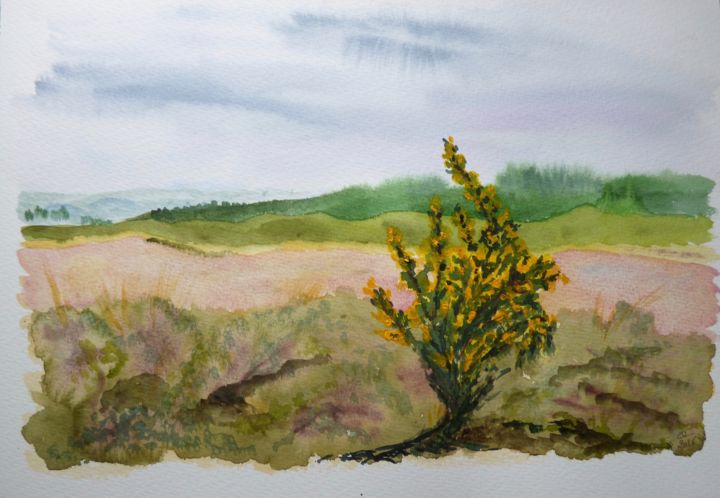 Pintura intitulada "Gorse in the Spring…" por Véronique Crombé, Obras de arte originais, Aquarela