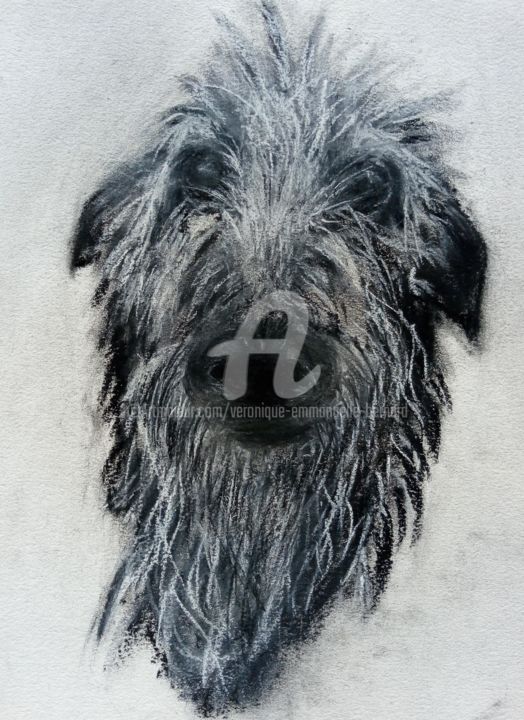 Pintura intitulada "Le chien" por Véronique Emmanuelle Bernard, Obras de arte originais, Pastel