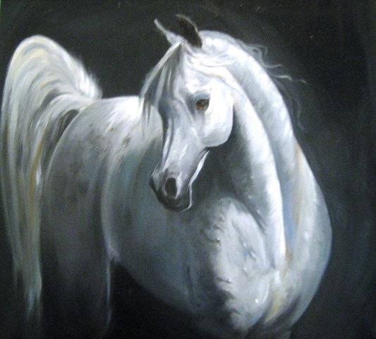 Painting titled "white horse" by Bubi, Original Artwork, Oil