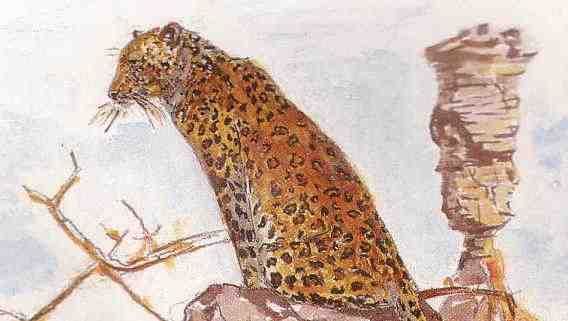 Картина под названием "Leopard" - Vesna Milovic Slabbert, Подлинное произведение искусства