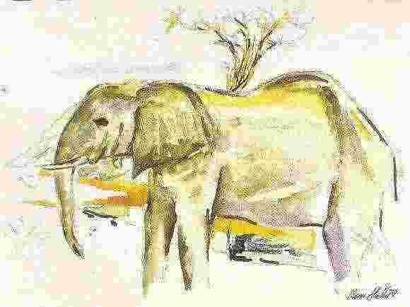 Картина под названием "elephant" - Vesna Milovic Slabbert, Подлинное произведение искусства