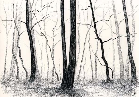 Drawing titled "spring forest" by Wind (Veter), Original Artwork