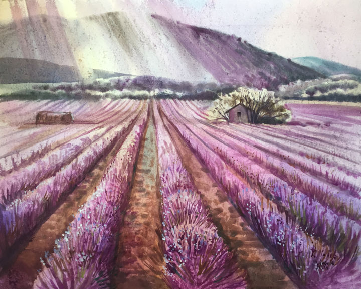 Painting titled "Lavender field. Lan…" by Natalia Veyner, Original Artwork, Watercolor