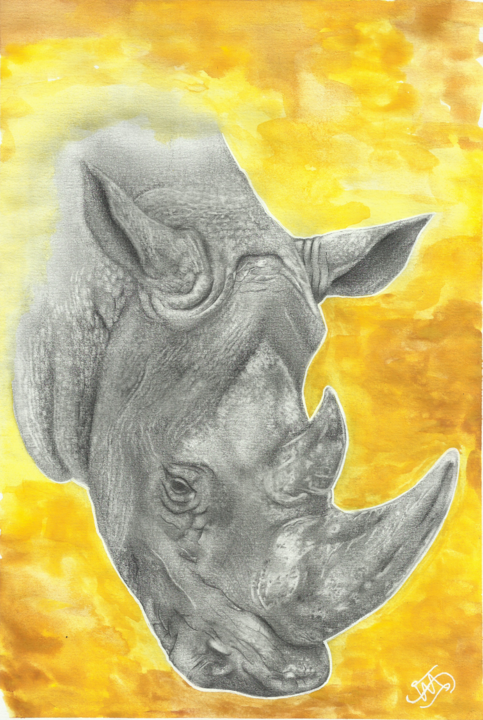 Disegno intitolato "Rhino.jpg" da Vicente Menezes, Opera d'arte originale, Grafite