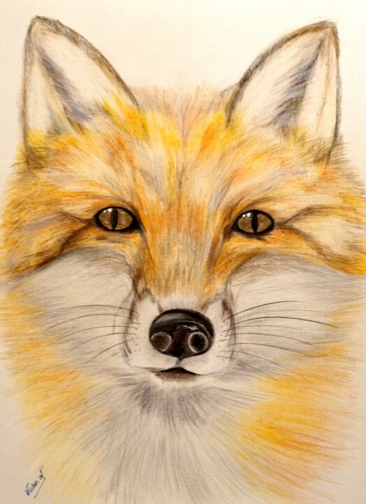Malarstwo zatytułowany „Fox” autorstwa Victoria Art, Oryginalna praca, Ołówek
