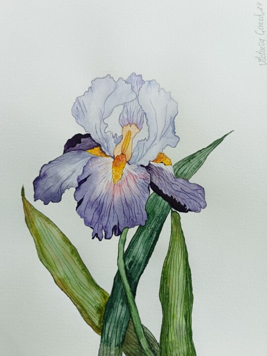 Painting titled "Iris violet" by Victoria Girerd, Original Artwork, Watercolor