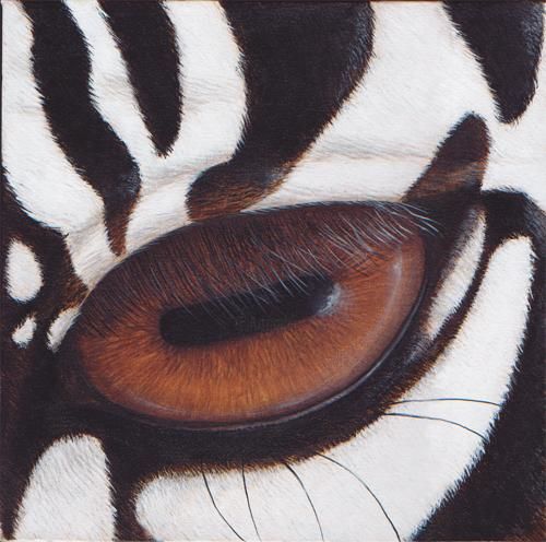 Картина под названием "All Eyes on Us: Zeb…" - Victoria Armstrong, Подлинное произведение искусства, Масло