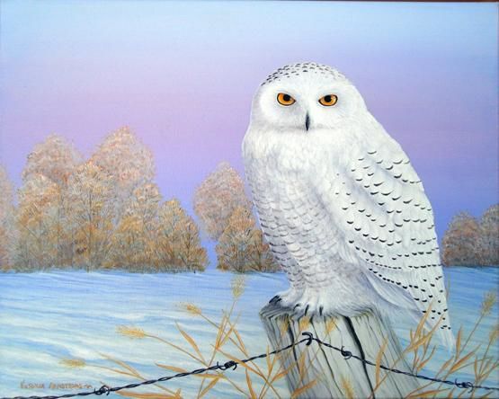 Painting titled "Snowy at Sunrise" by Victoria Armstrong, Original Artwork, Oil