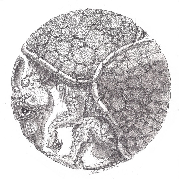 Disegno intitolato "Rounded Armadillo" da Victor Molev, Opera d'arte originale, Inchiostro