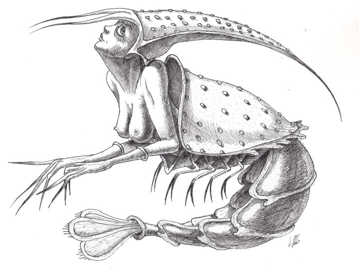 Desenho intitulada "Sweet shrimp" por Victor Molev, Obras de arte originais, Tinta