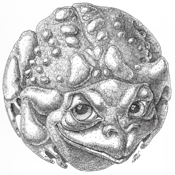 Dibujo titulada "Grand Toad" por Victor Molev, Obra de arte original, Tinta