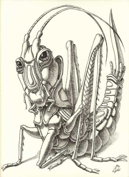 Drawing titled "Gallant Grasshopper" by Victor Molev, Original Artwork, Other