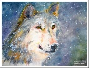 Pintura intitulada "Timber wolf in snow…" por Katia De Mey, Obras de arte originais