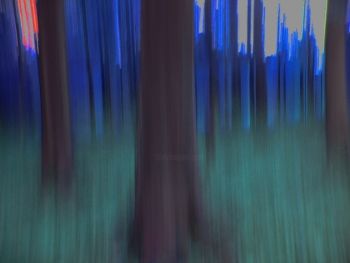 Pintura intitulada "Forest on the move…" por Katia De Mey, Obras de arte originais