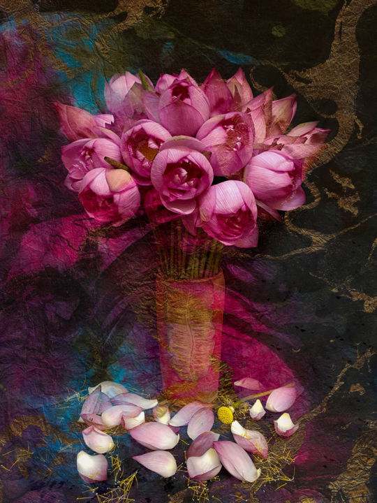 Photography titled "The Pink Lotus II" by Viet Ha Tran, Original Artwork, Digital Photography