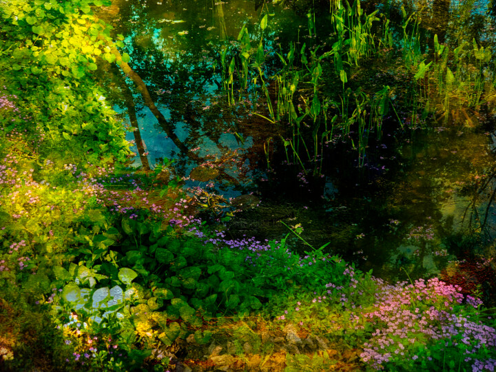 Photography titled "Monet Garden" by Viet Ha Tran, Original Artwork, Manipulated Photography