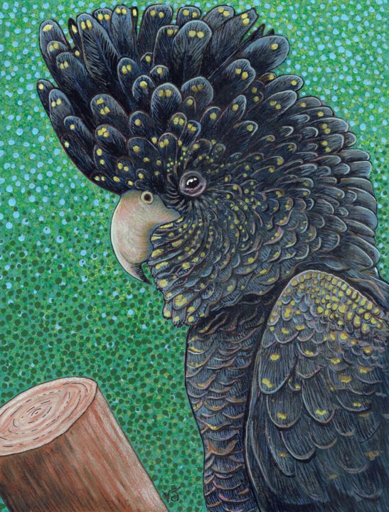 Painting titled "Black Cockatoo" by Vikki Jackson, Original Artwork, Acrylic