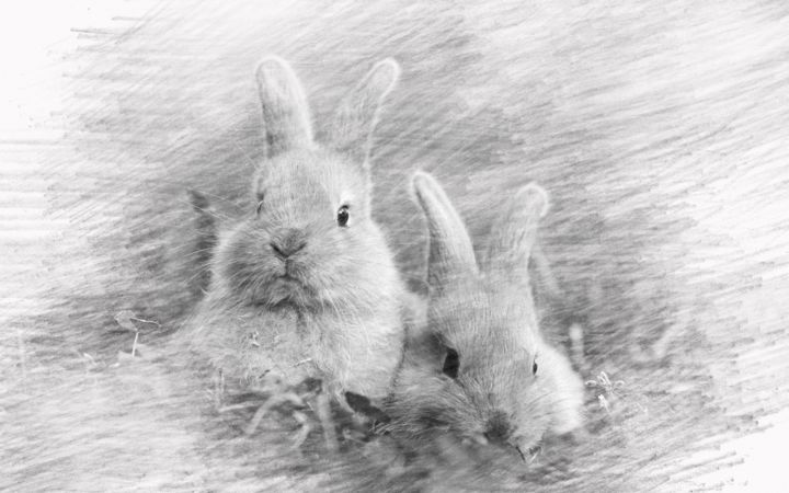 Digital Arts με τίτλο "two rabbit" από Viktoriay Bozhko, Αυθεντικά έργα τέχνης, 2D ψηφιακή εργασία