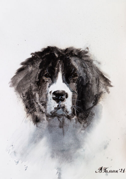 Painting titled "Dog of the Landseer…" by Viktoriia Gaman, Original Artwork, Watercolor
