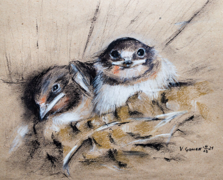 Painting titled "Swallow chicks in t…" by Viktoriia Gaman, Original Artwork, Charcoal