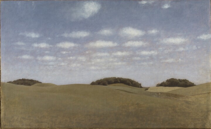 Painting titled "Paysage de Lejre" by Vilhelm Hammershøi, Original Artwork, Oil