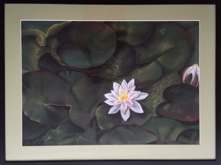 Pittura intitolato "Water lily" da Vili Zheko, Opera d'arte originale, Pastello