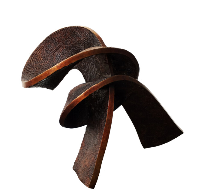 Sculpture intitulée "Rotoxy I" par Vincent Champion-Ercoli, Œuvre d'art originale, Bronze