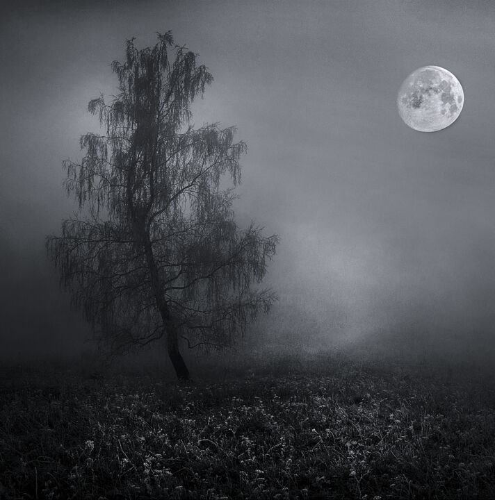 Fotografia zatytułowany „l'arbre sous la lune” autorstwa Vincent Frediani, Oryginalna praca, Fotografia cyfrowa