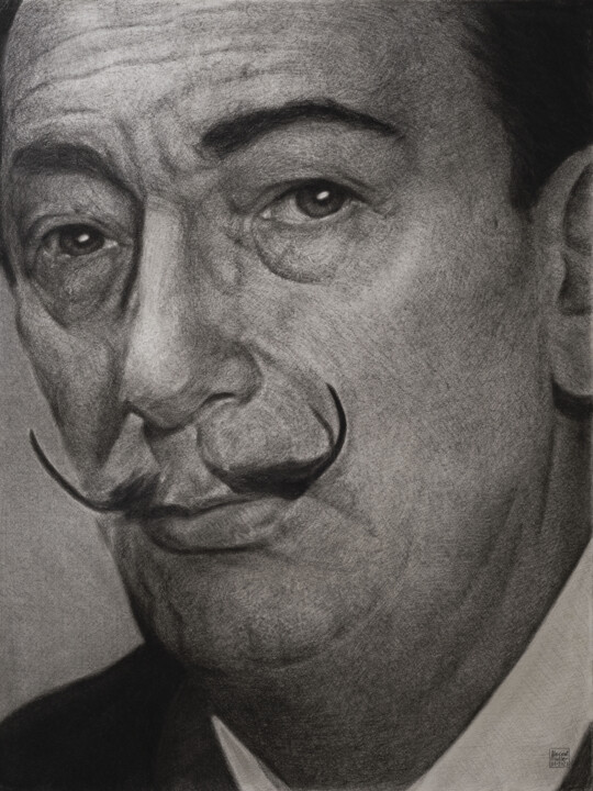 Tekening getiteld "portrait de Salvado…" door Vincent Haller, Origineel Kunstwerk, Houtskool