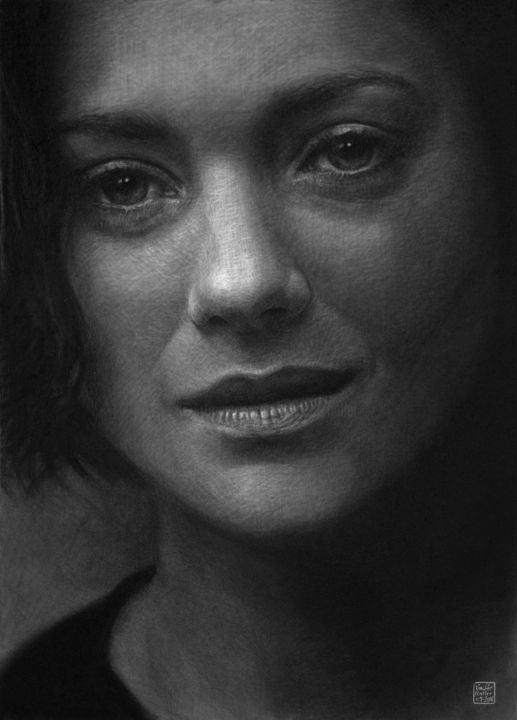 Drawing titled "Marion Cotillard" by Vincent Haller, Original Artwork, Charcoal Mounted on Cardboard