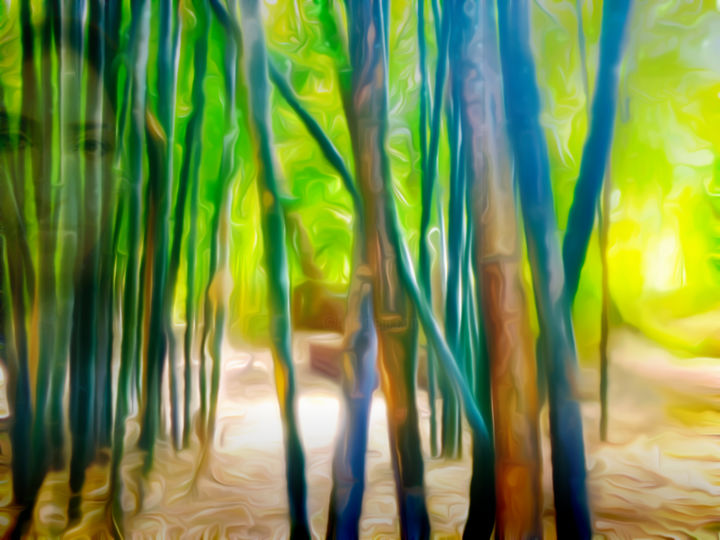 Digital Arts με τίτλο "Derrière Les Bambous" από Vincent Marguerit, Αυθεντικά έργα τέχνης, Φωτογραφία Μοντάζ