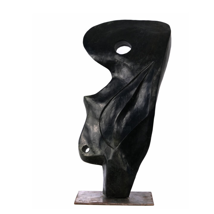 Escultura titulada "Visage caché" por Vincent Ochs, Obra de arte original, Piedra