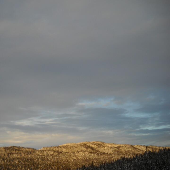 Photographie intitulée "Wintery mood" par Vinet-Larente, Œuvre d'art originale, Photographie numérique