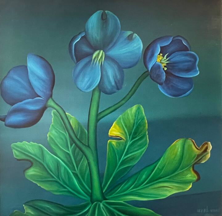 Pintura titulada "Blue Helleborus" por Vinko Hlebs, Obra de arte original, Oleo