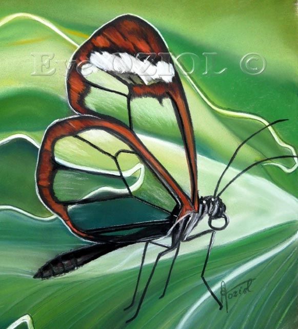 Painting titled "GLASSWING" by Eve Oziol, Original Artwork, Oil