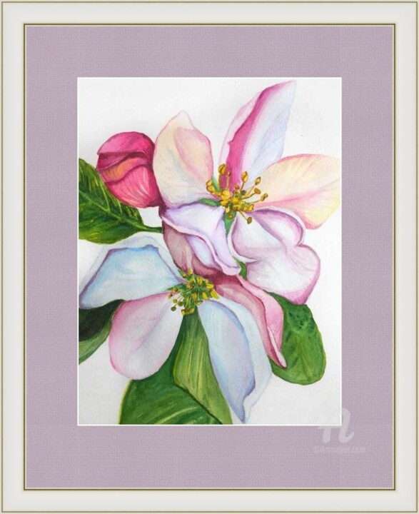 Malarstwo zatytułowany „Apple flower - wate…” autorstwa Violetta Golden, Oryginalna praca, Akwarela