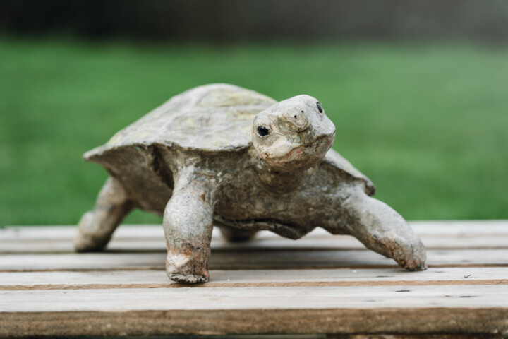 Sculpture titled "Tortue" by Virginia Dore, Original Artwork, Paper