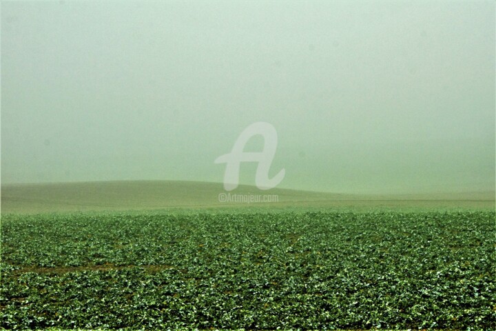 Photography titled "Vert campagne" by Virginie Dartois, Original Artwork, Digital Photography