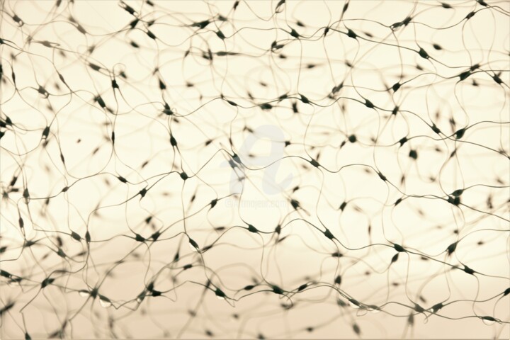 Fotografie getiteld "Synapses" door Virginie Dartois, Origineel Kunstwerk, Digitale fotografie