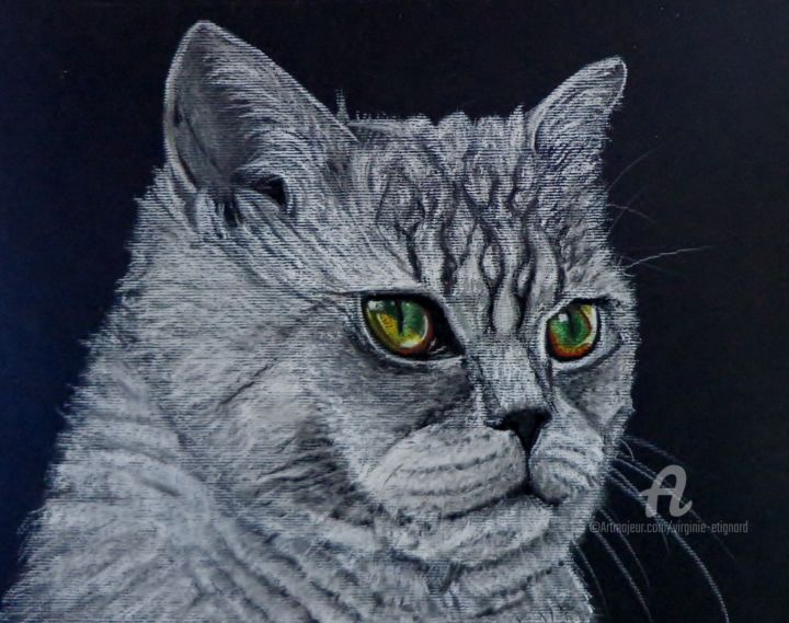 Drawing titled "La nuit tous les ch…" by Virginie Etignard, Original Artwork, Pastel