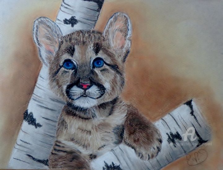 Dessin intitulée "Puma perché" par Virginie Etignard, Œuvre d'art originale, Pastel