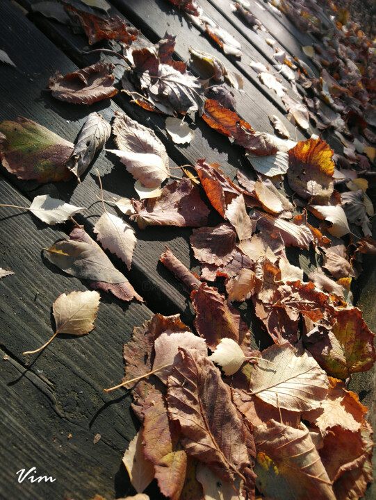 Photography titled "Et-tombe-lautomne.j…" by Virginie Mérimée (Vim), Original Artwork