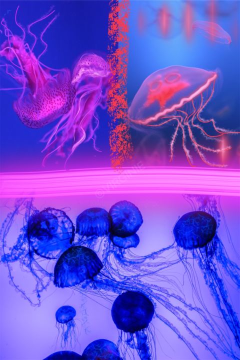 Digital Arts titled "La vie en rose" by Virginie, Original Art, Digital Painting Mounted on Plexiglass