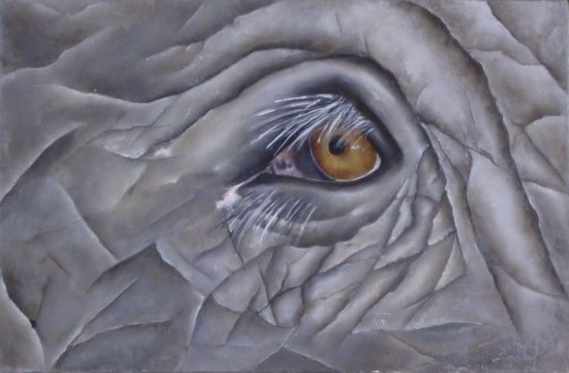 Peinture intitulée "oeil d'éléphant" par Virginie Px, Œuvre d'art originale, Huile