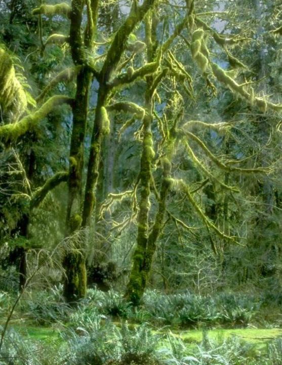 Painting titled "Green Moss and Emer…" by Robert Anthony, Original Art, Other
