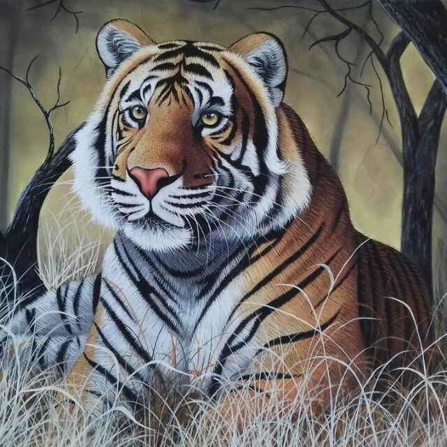 Tiger, Painting by Vishal Gurjar | Artmajeur