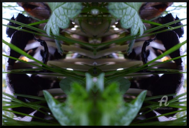 Photographie intitulée "araignée Gardienne…" par Miroir Planétaire Blanc, Œuvre d'art originale, Photographie manipulée